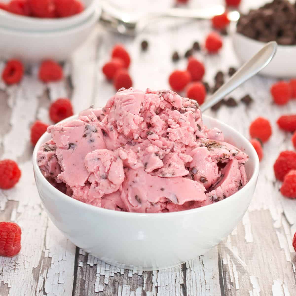 Raspberry Chocolate Chip Frozen Yogurt