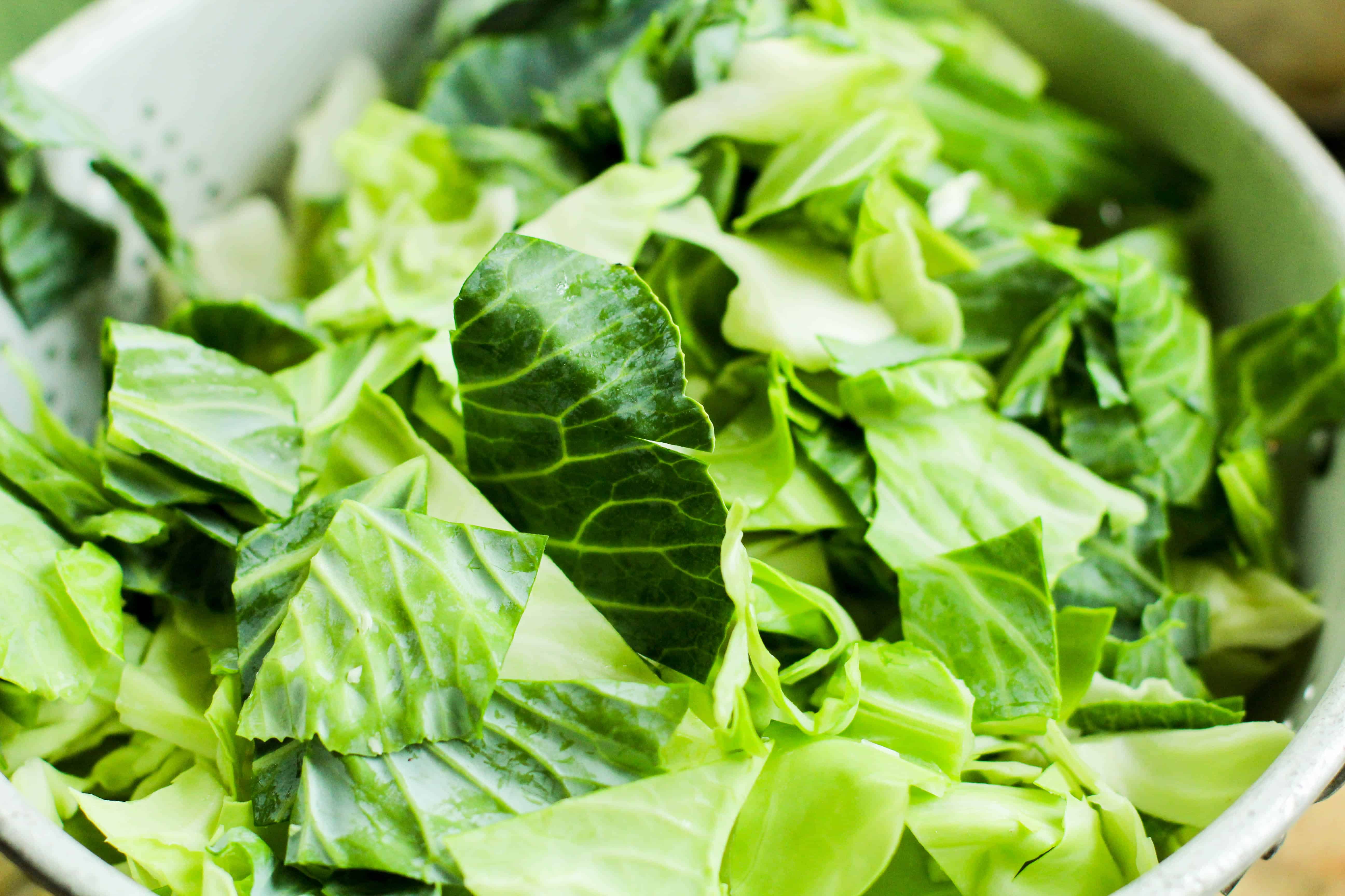 cabbage in a pot