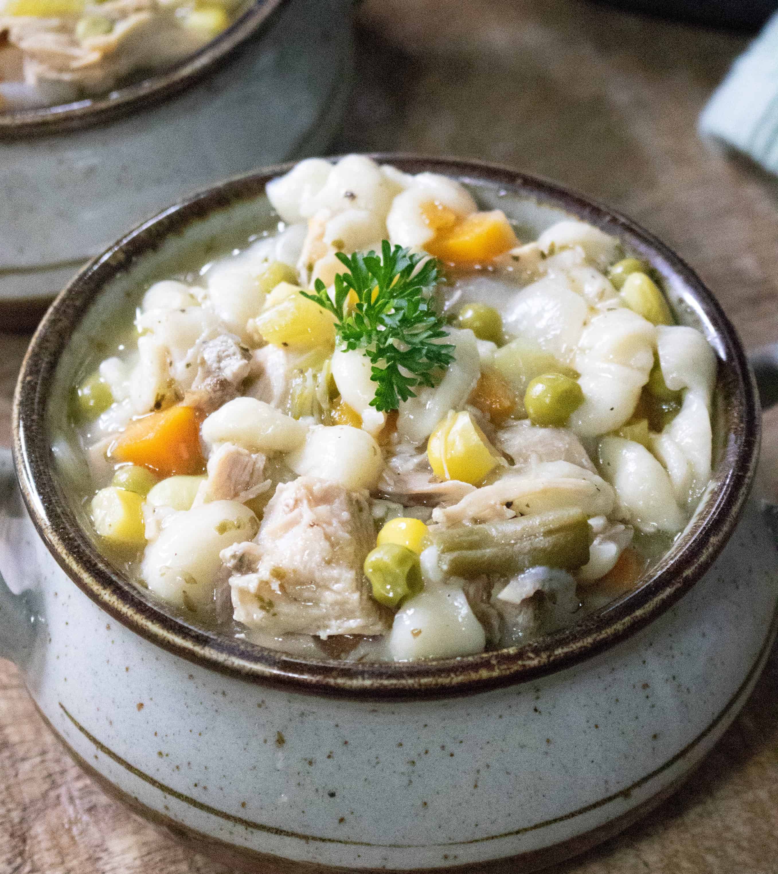 Instant Pot Turkey Vegetable Noodle Soup