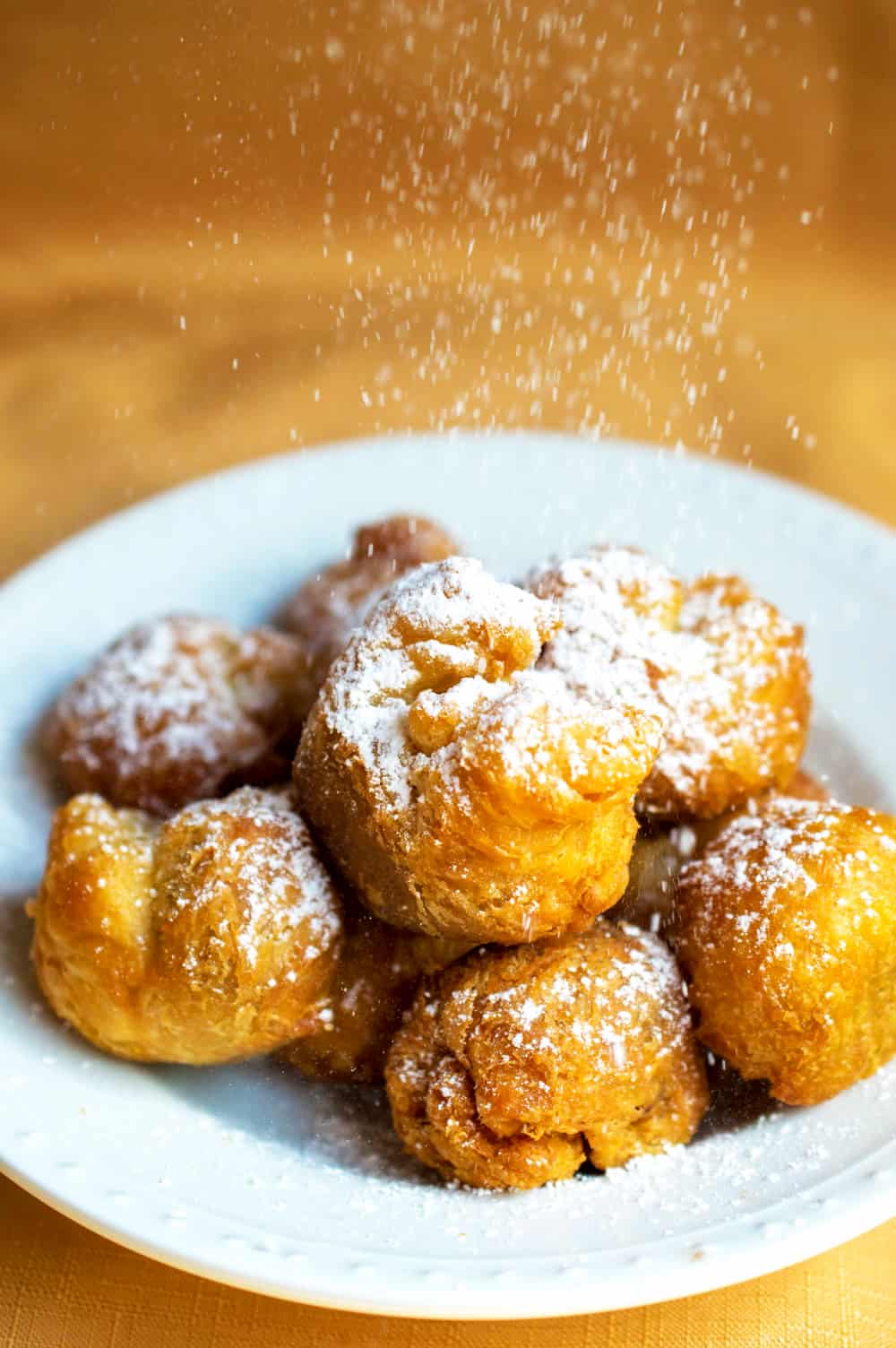 Fried Nutella Dumplings