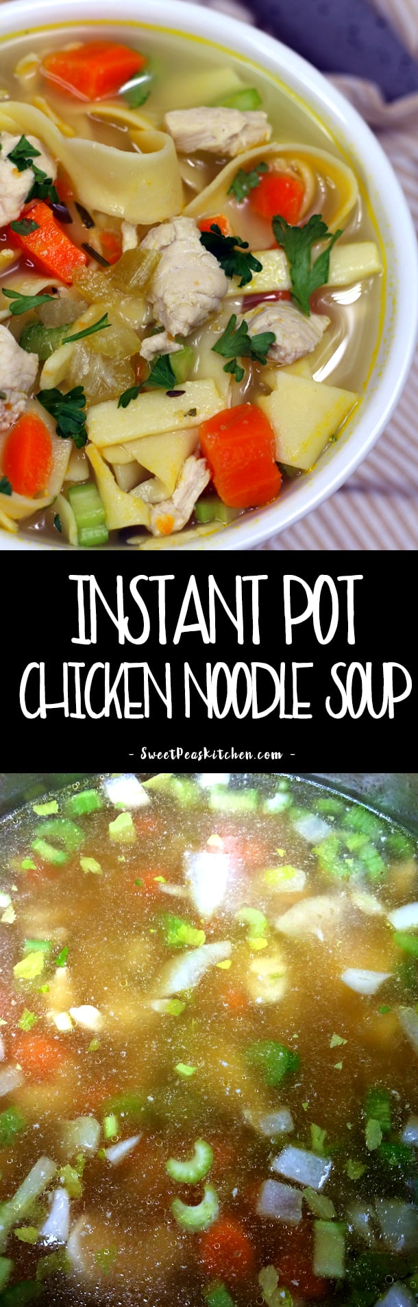 Instant Pot Chicken Noodle Soup