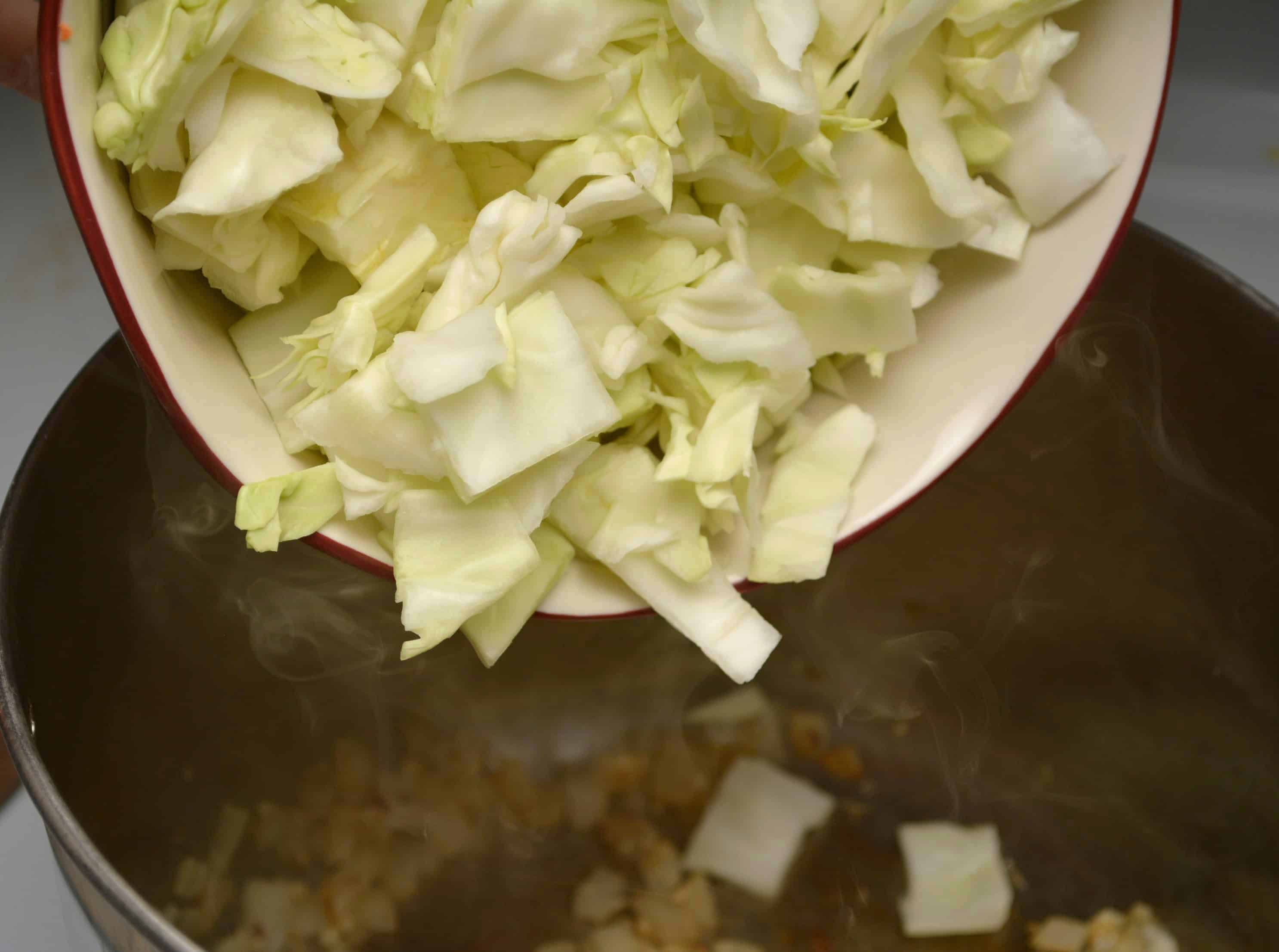 cabbage in a bowl 