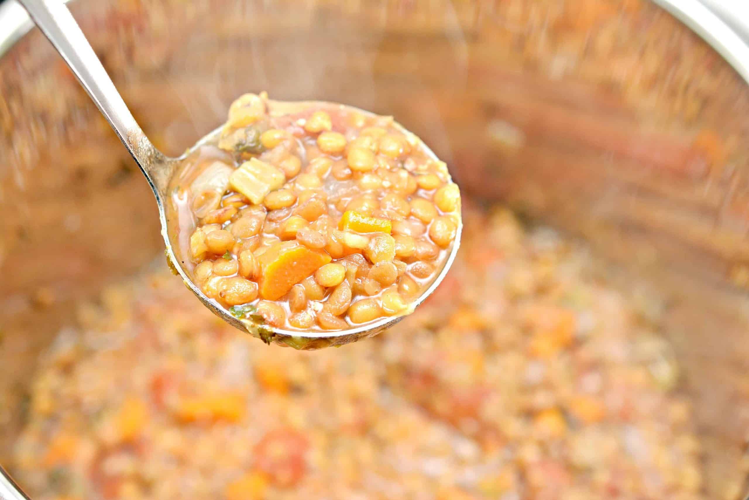 lentil soup in ladle