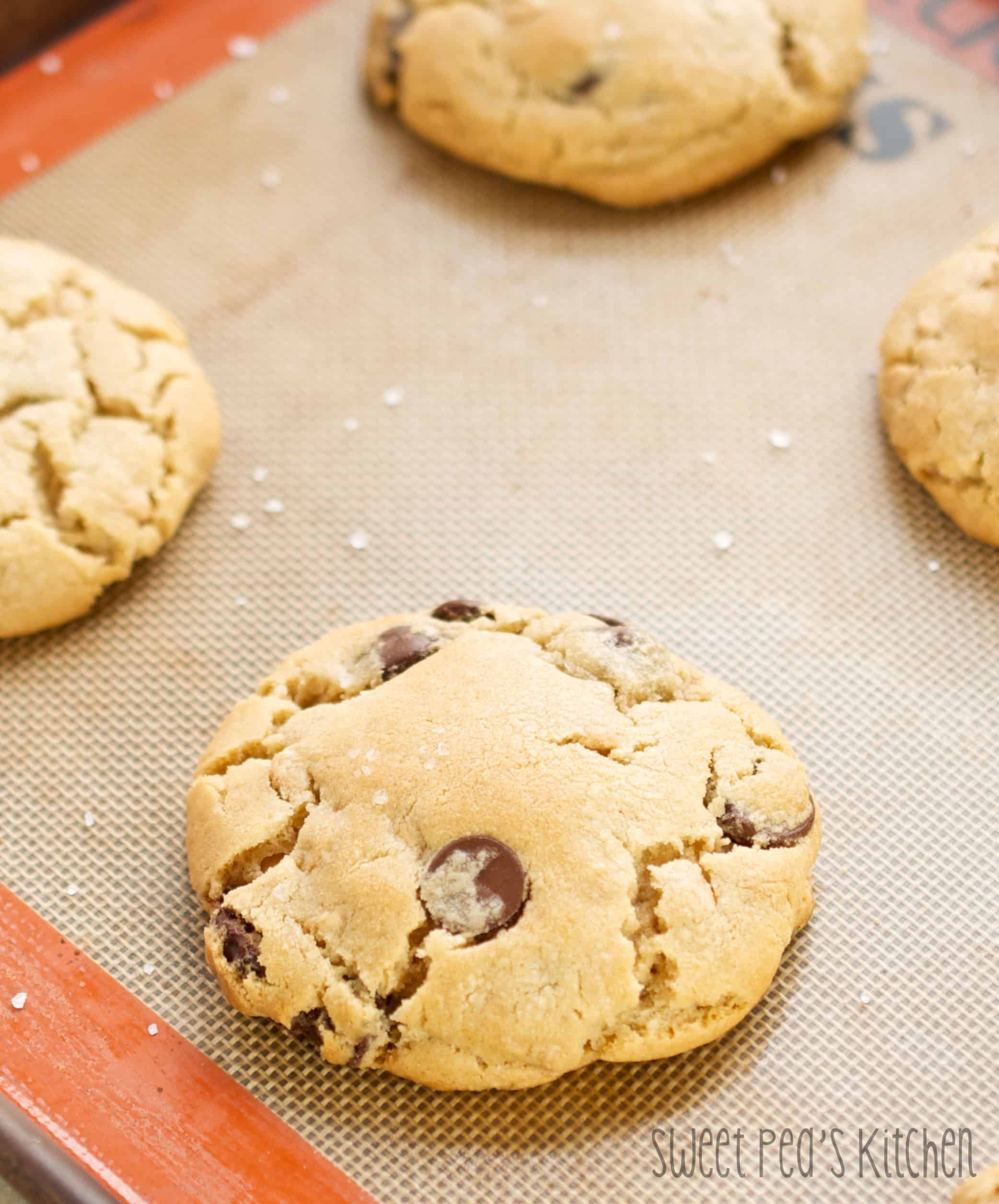 Soft & Chewy Peanut Butter Chocolate Chip Cookies