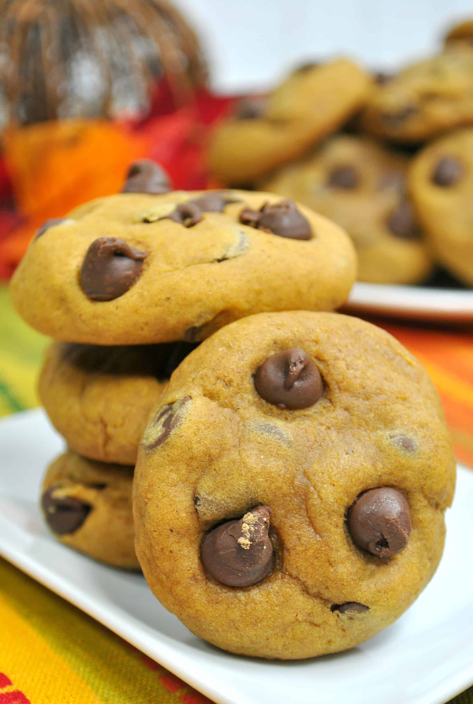 Pumpkin Chocolate Chip Cookies Recipe