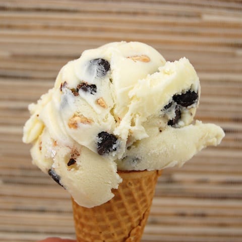 Coconut Almond Chip Ice Cream 