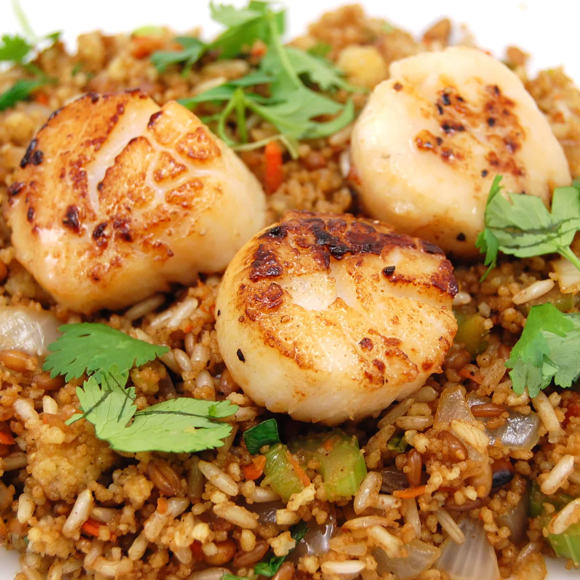 Mixed Grain Pilaf with Pan Seared Scallops