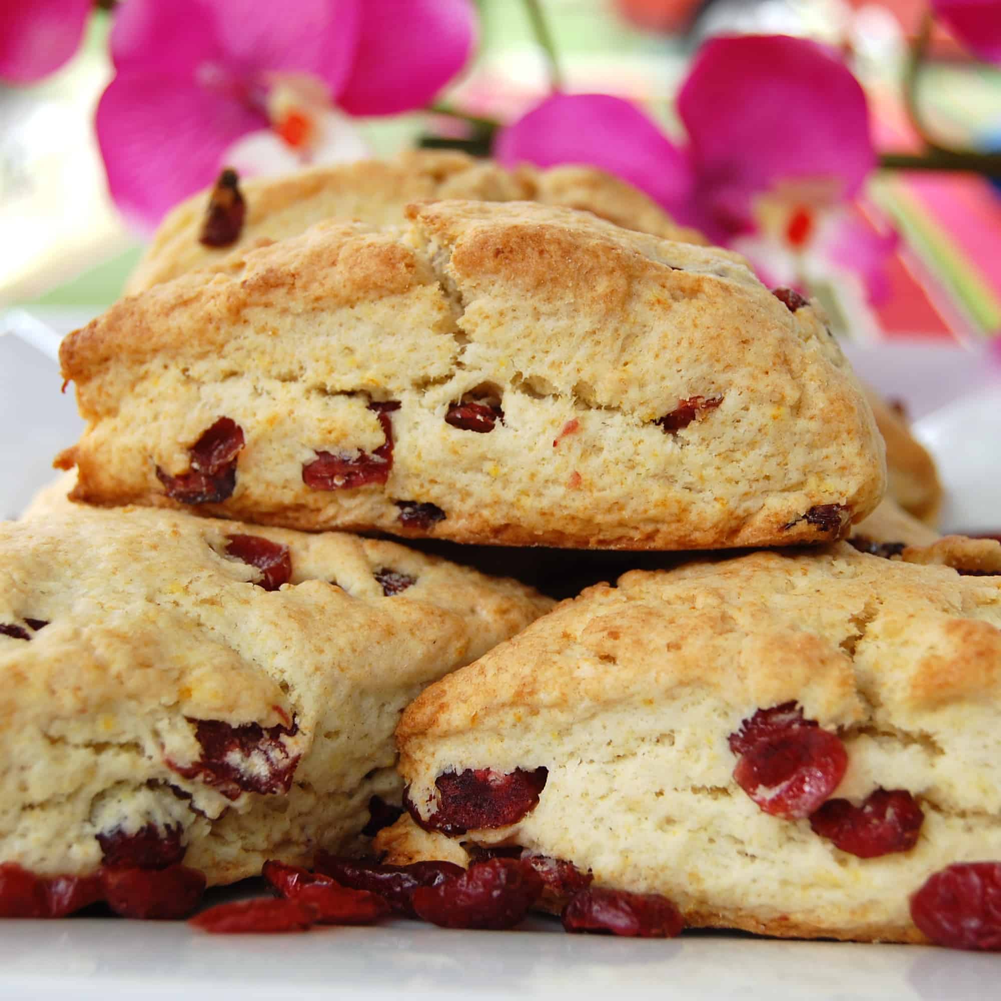 Cranberry-Orange Scones - Sweet Pea&amp;#39;s Kitchen