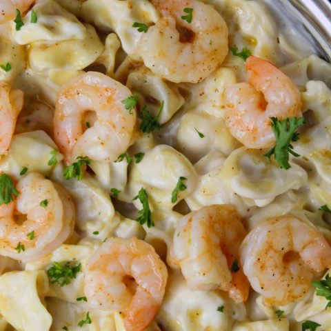 Cheesy Shrimp Tortellini Alfredo Skillet - Sweet Pea's Kitchen