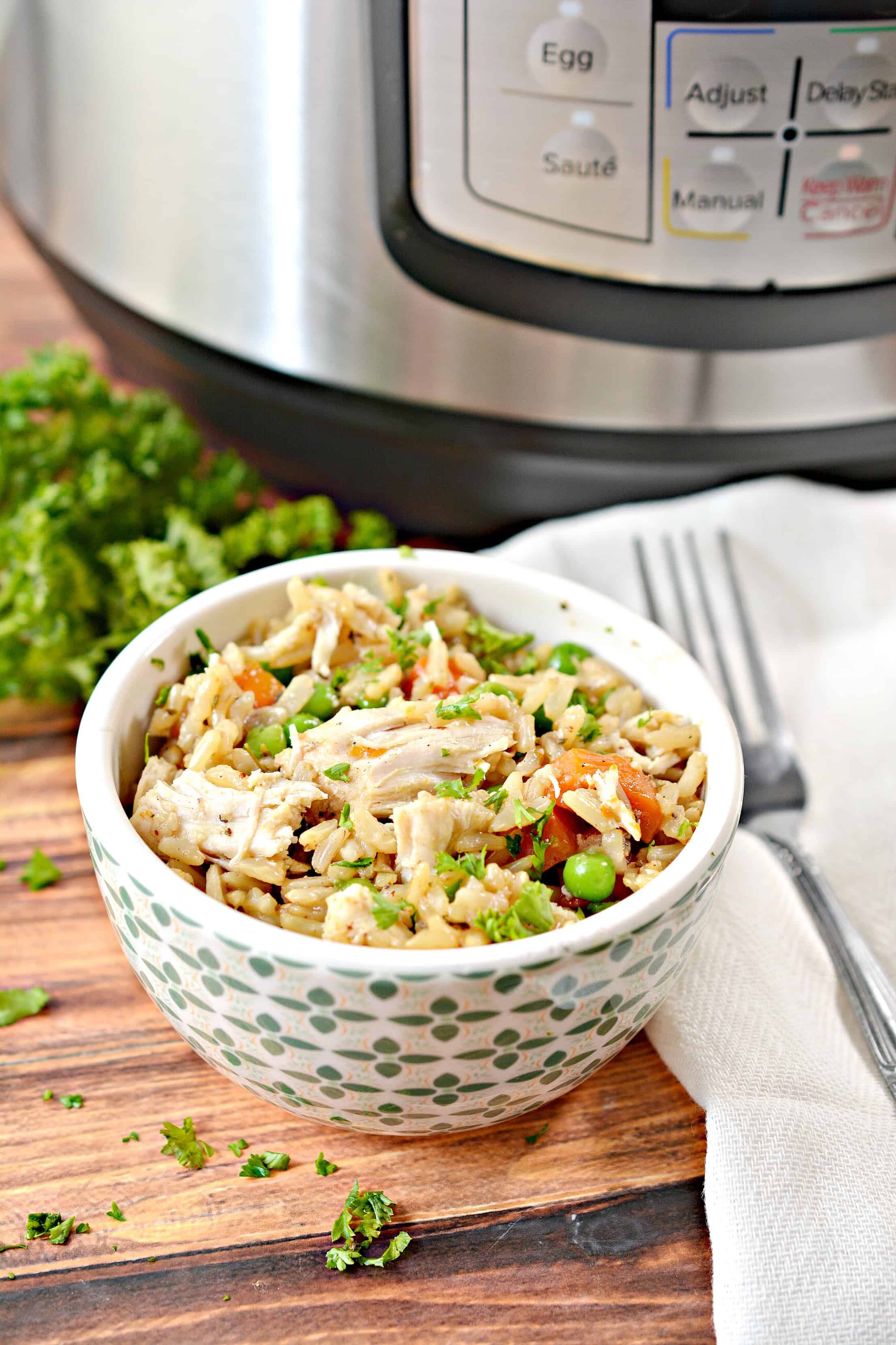 Instant Pot chicken and rice
