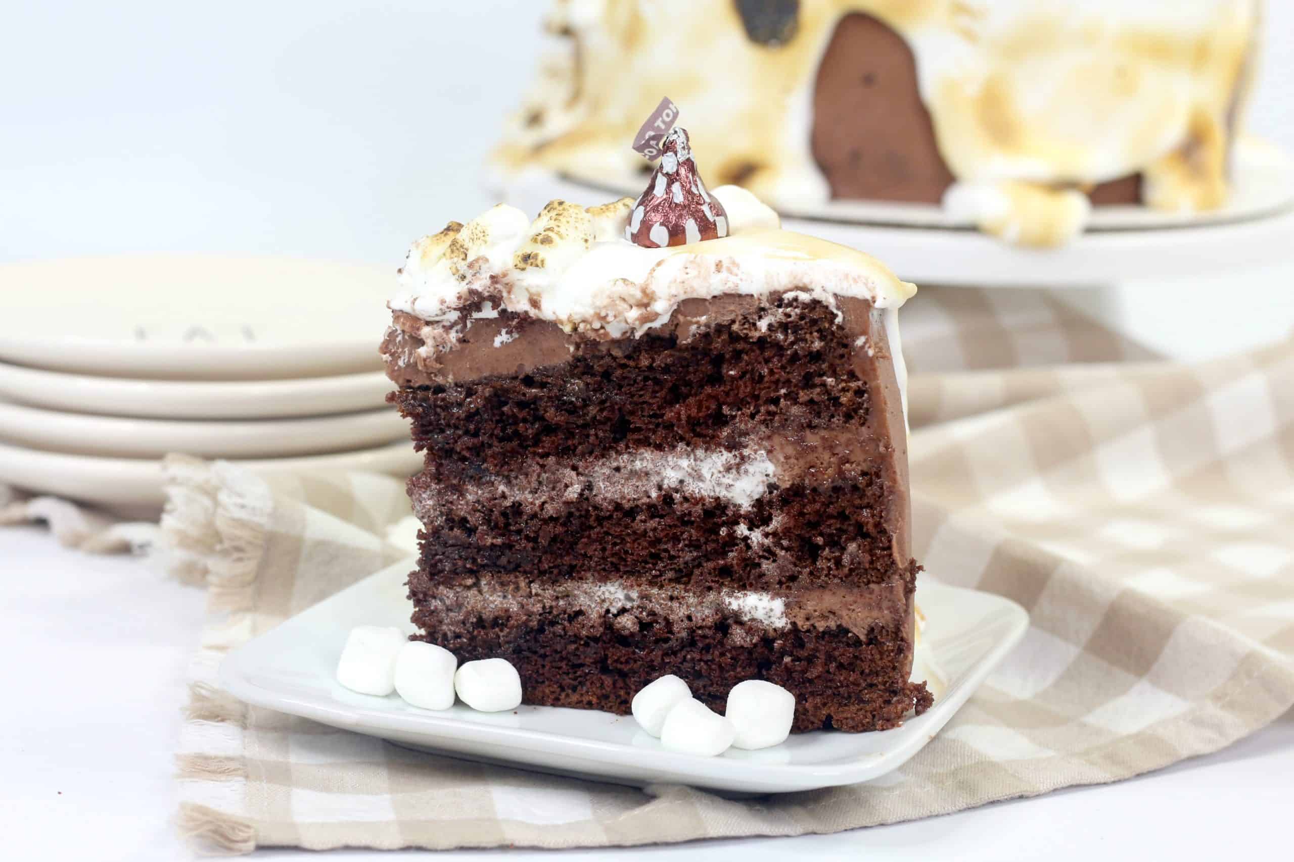 piece of chocolate marshmallow cake