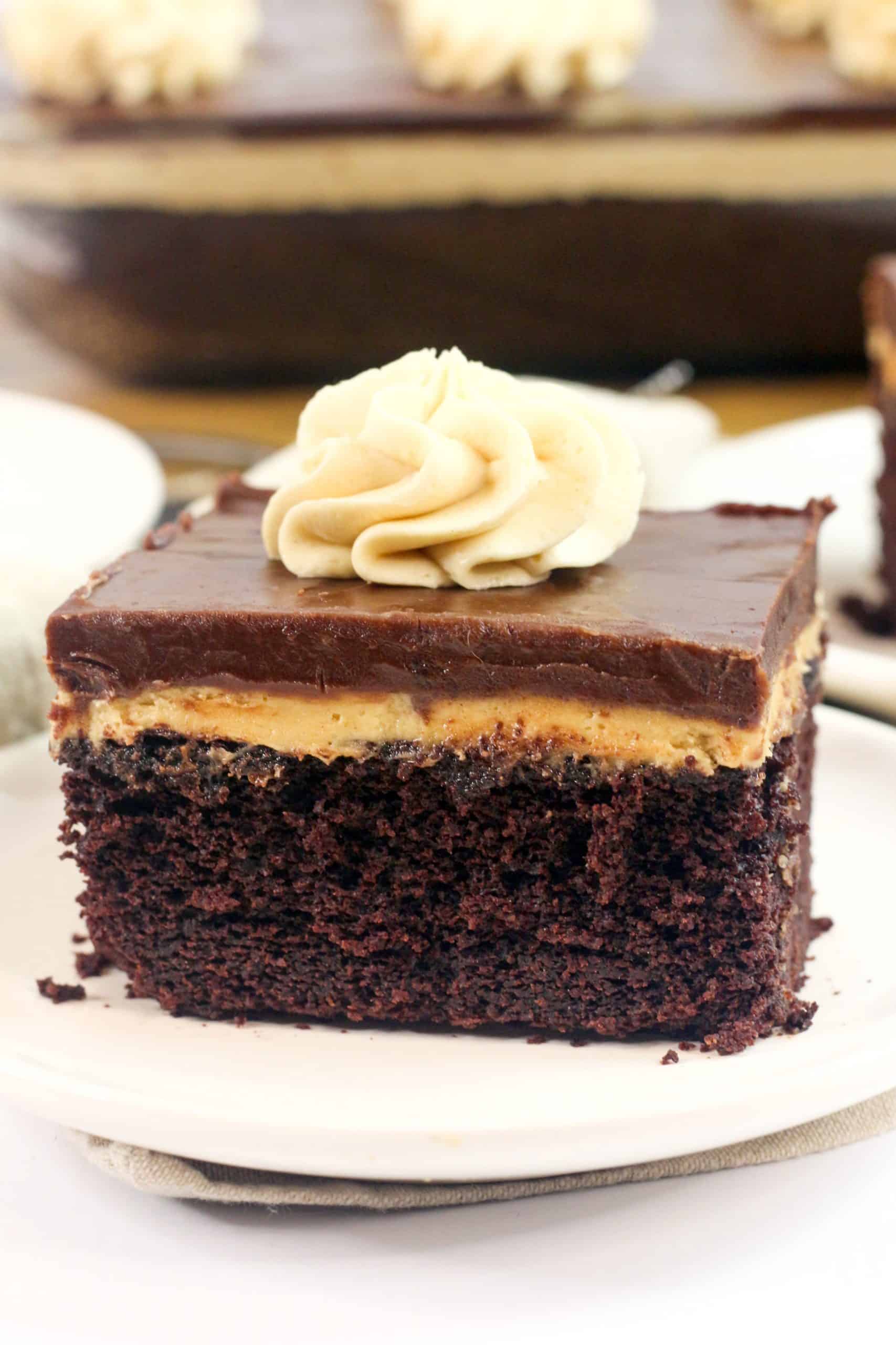 chocolate peanut butter cake on a white plate