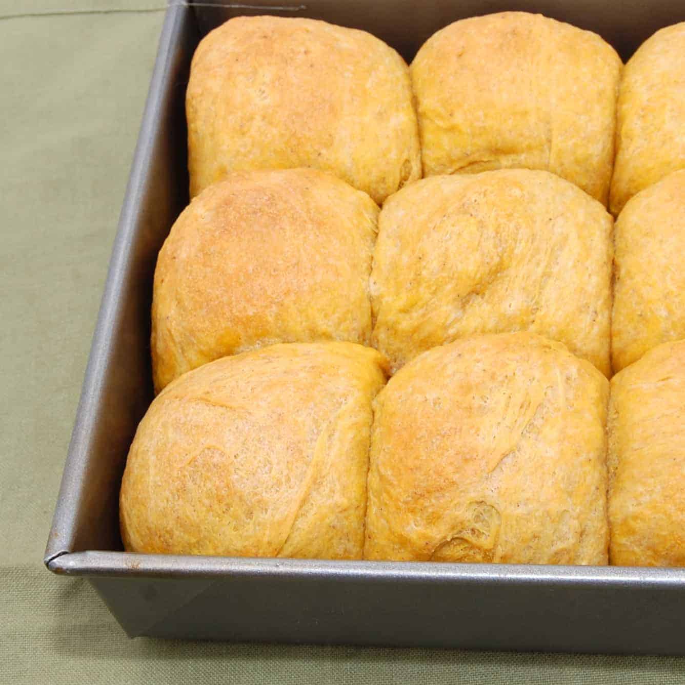 pan with dinner rolls freshly baked