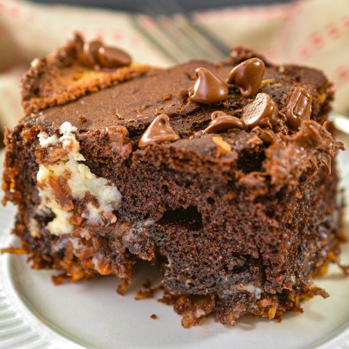 Chocolate Sunbutter Gooey Butter Cake - Eat Something Delicious