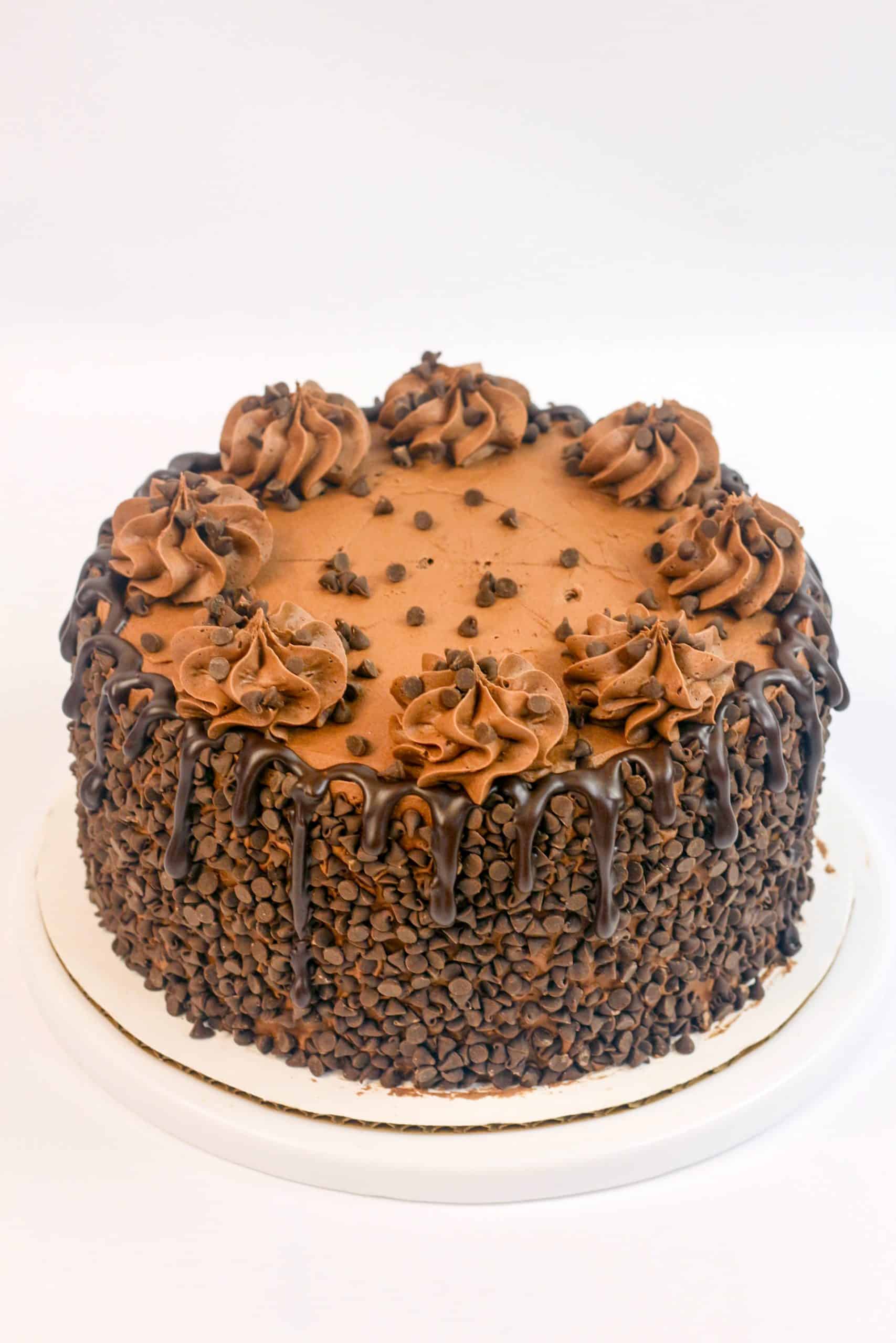 chocolate blackout cake 