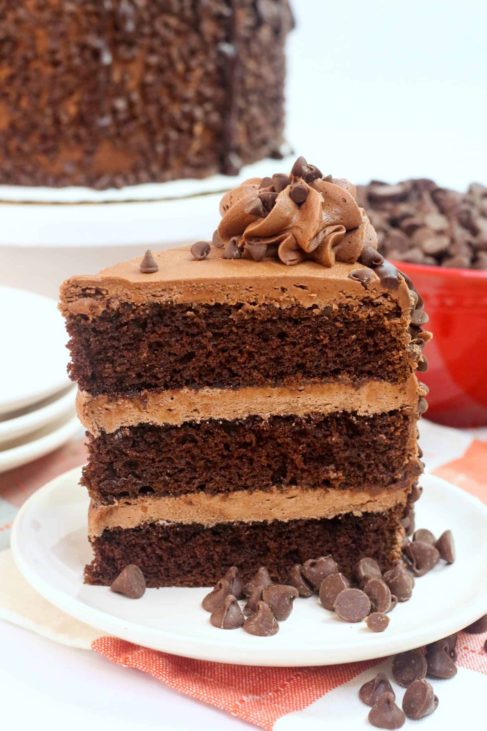 chocolate blackout cake on a plate