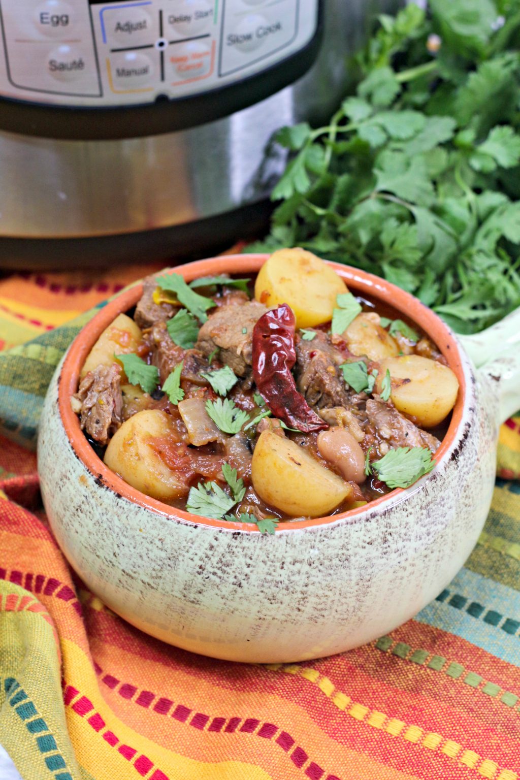 mexican-beef-stew-in-a-slow-cooker-3-steps-with-pictures