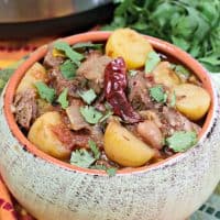 Instant Pot Mexican Beef Stew, Instant Pot Stew meat recipe