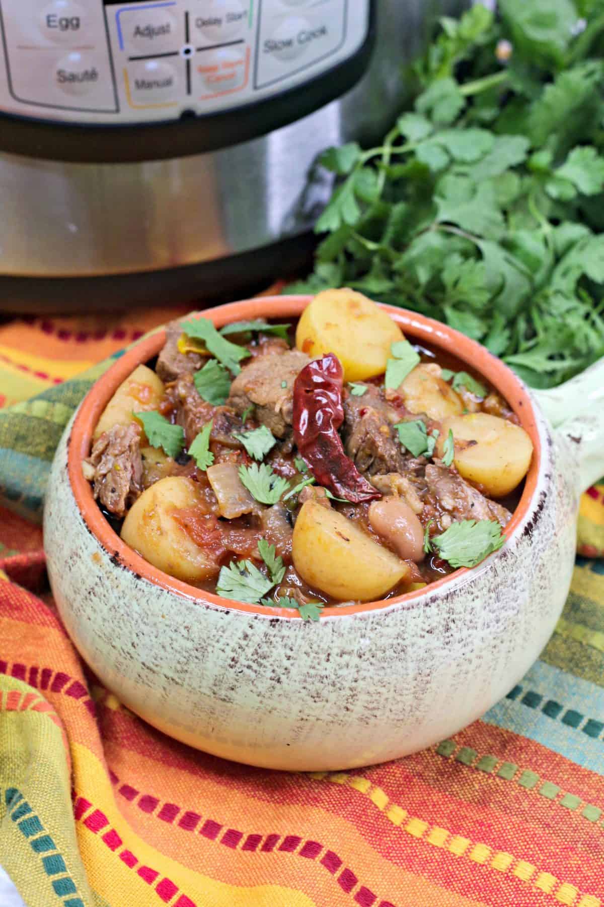  Instant Pot Stew meat recipe , pressure cooker Mexican beef stew