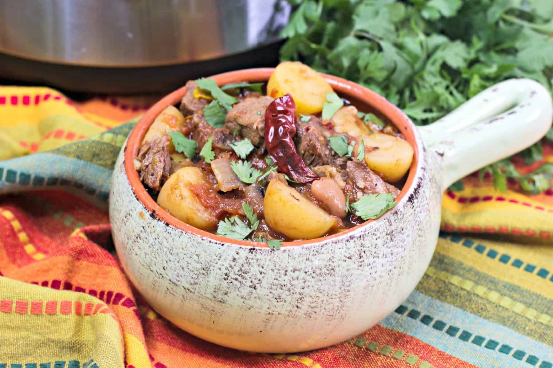  pressure cooker Mexican beef stew, Mexican Beef Stew