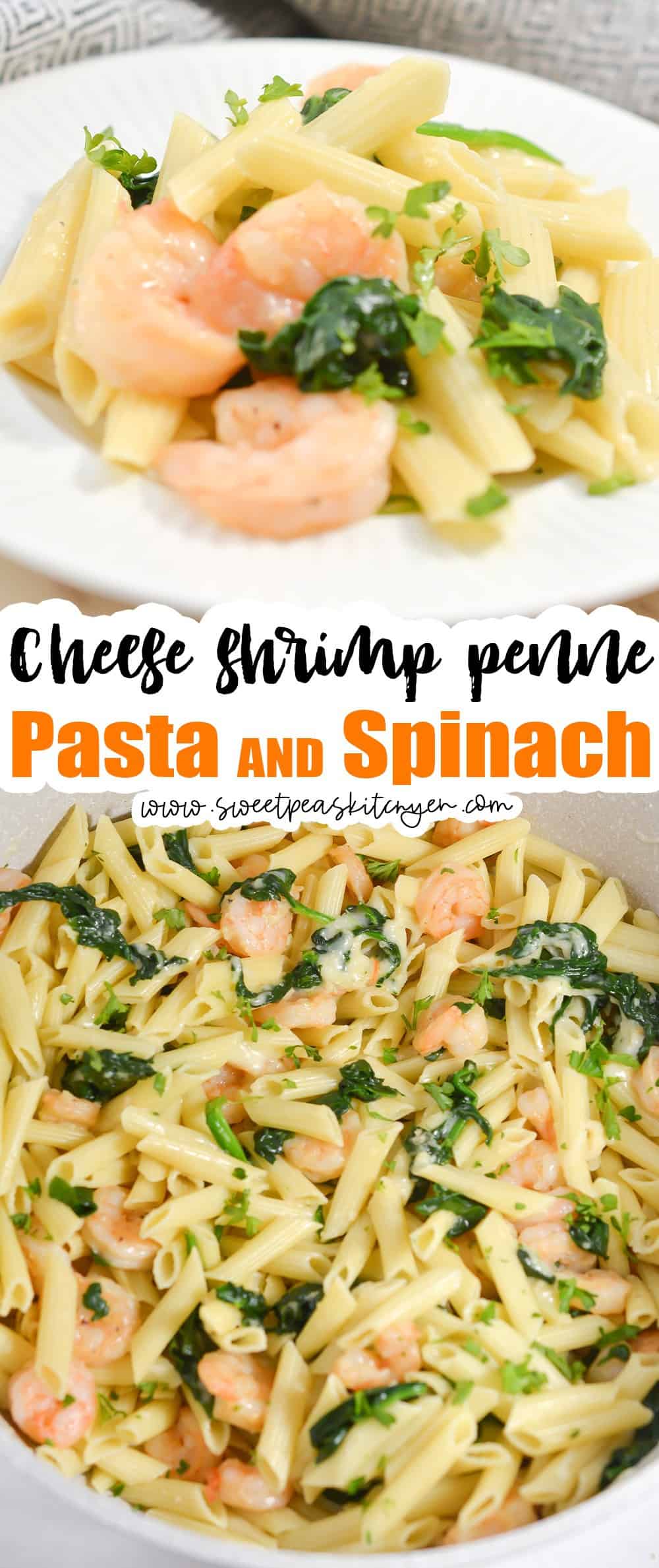 Cheese Shrimp Penne Pasta and Spinach