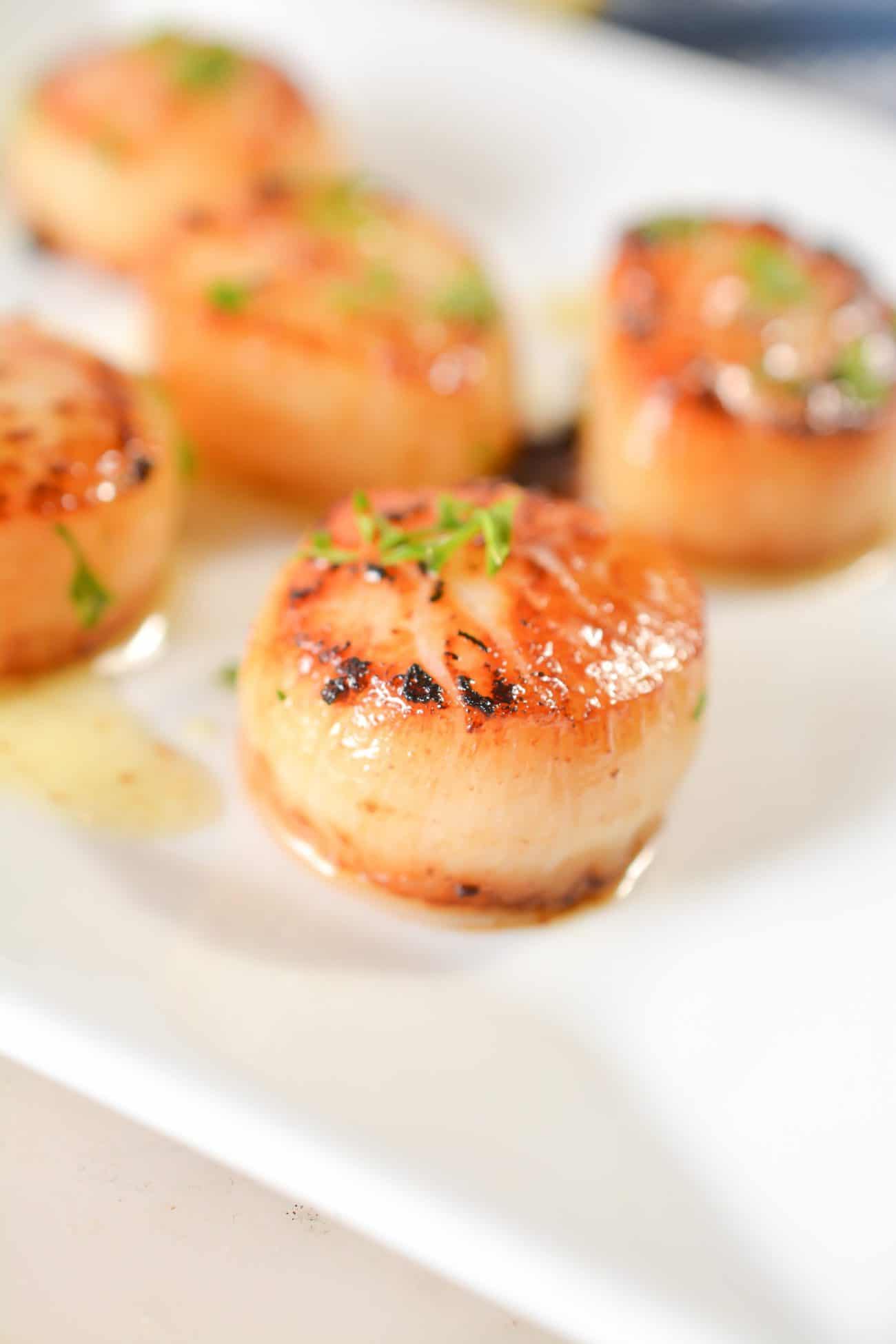 Seared Scallops