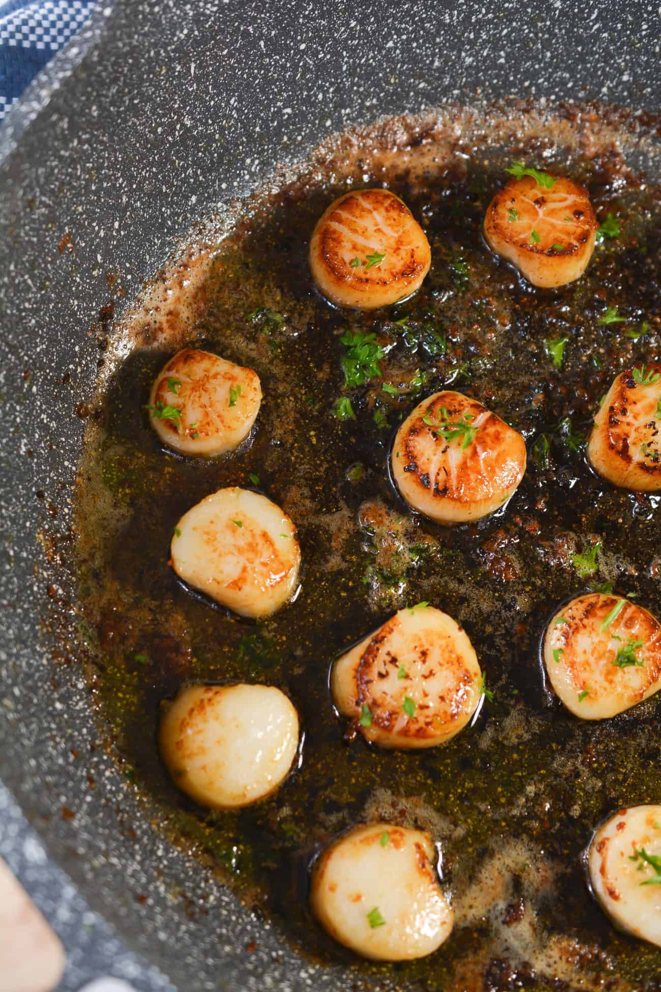 Seared Scallops