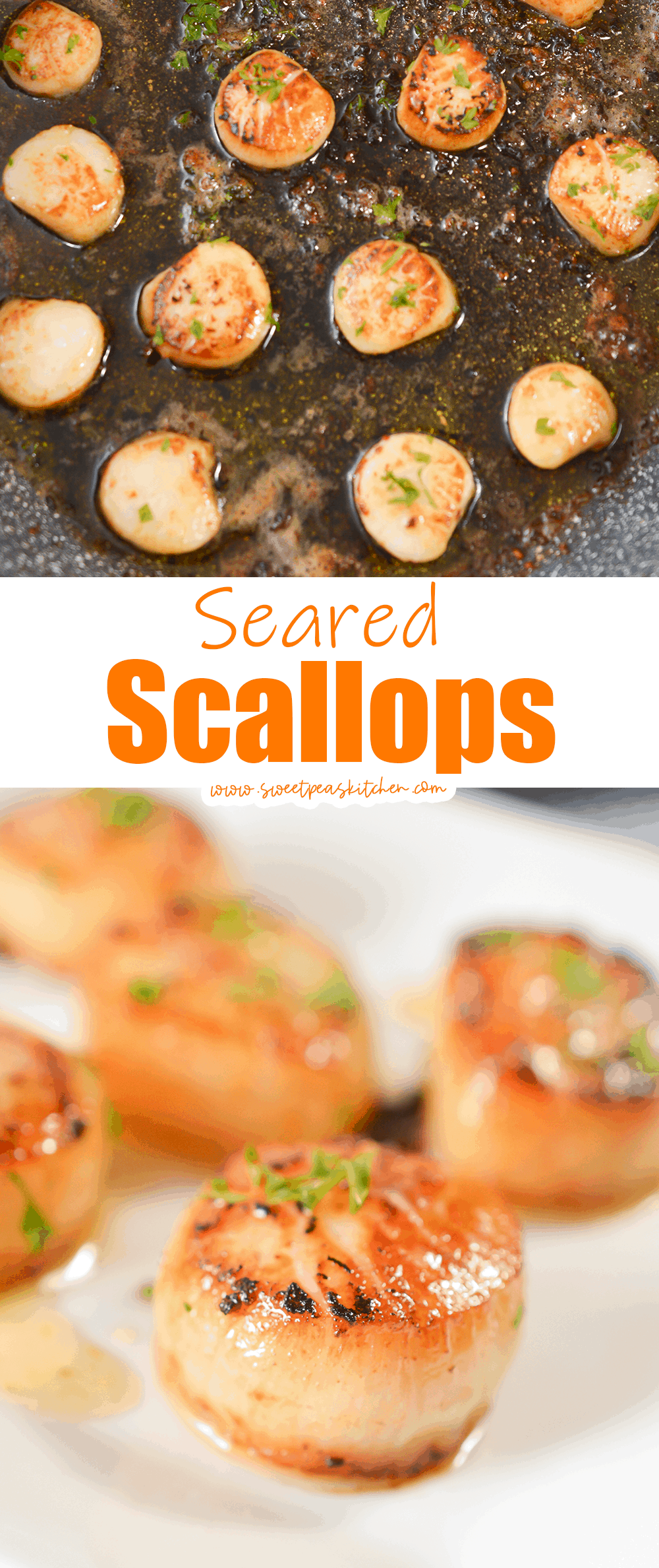 Seared Scallops