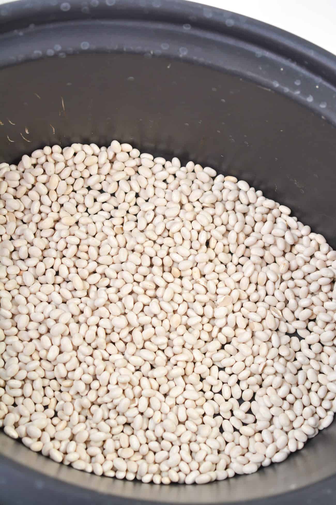 Place 1 lb. of navy beans washed and any bad beans picked out into the bottom of the crockpot.