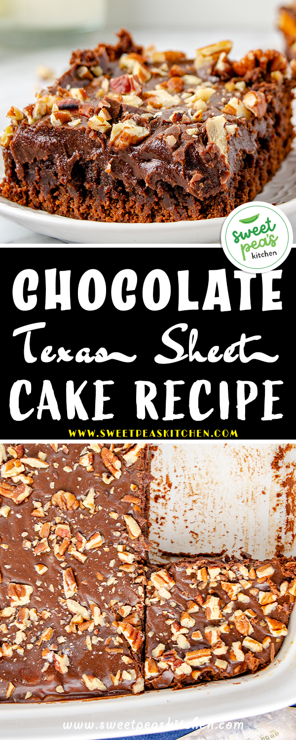 Chocolate Texas Sheet Cake Recipe on pinterest