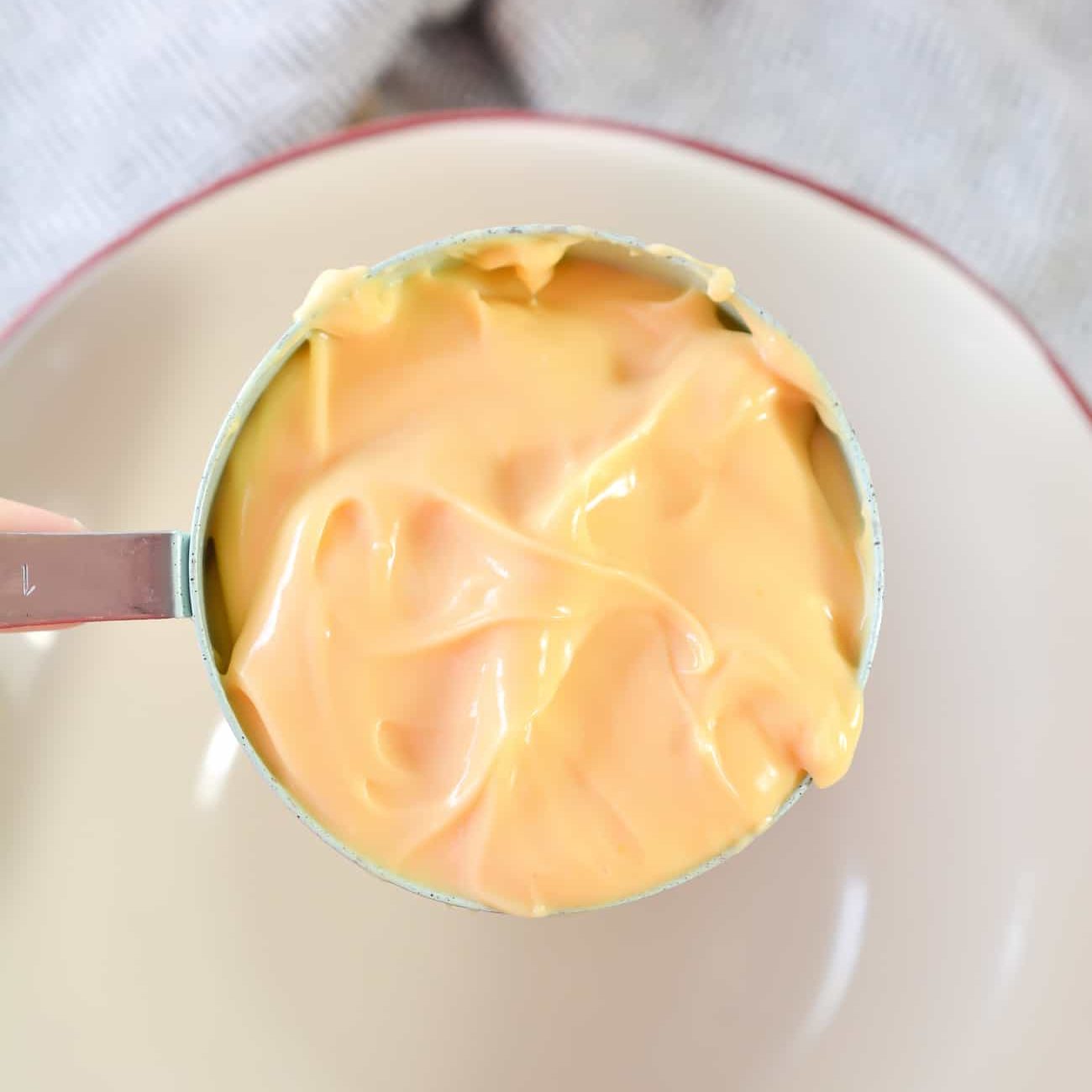 In a bowl, add the nacho cheese sauce.