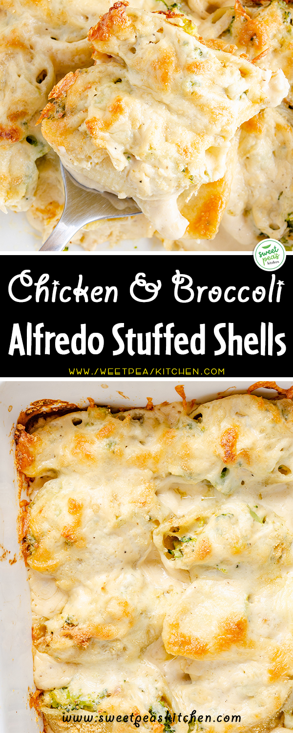 Chicken Broccoli Alfredo Stuffed Shells on pinterest