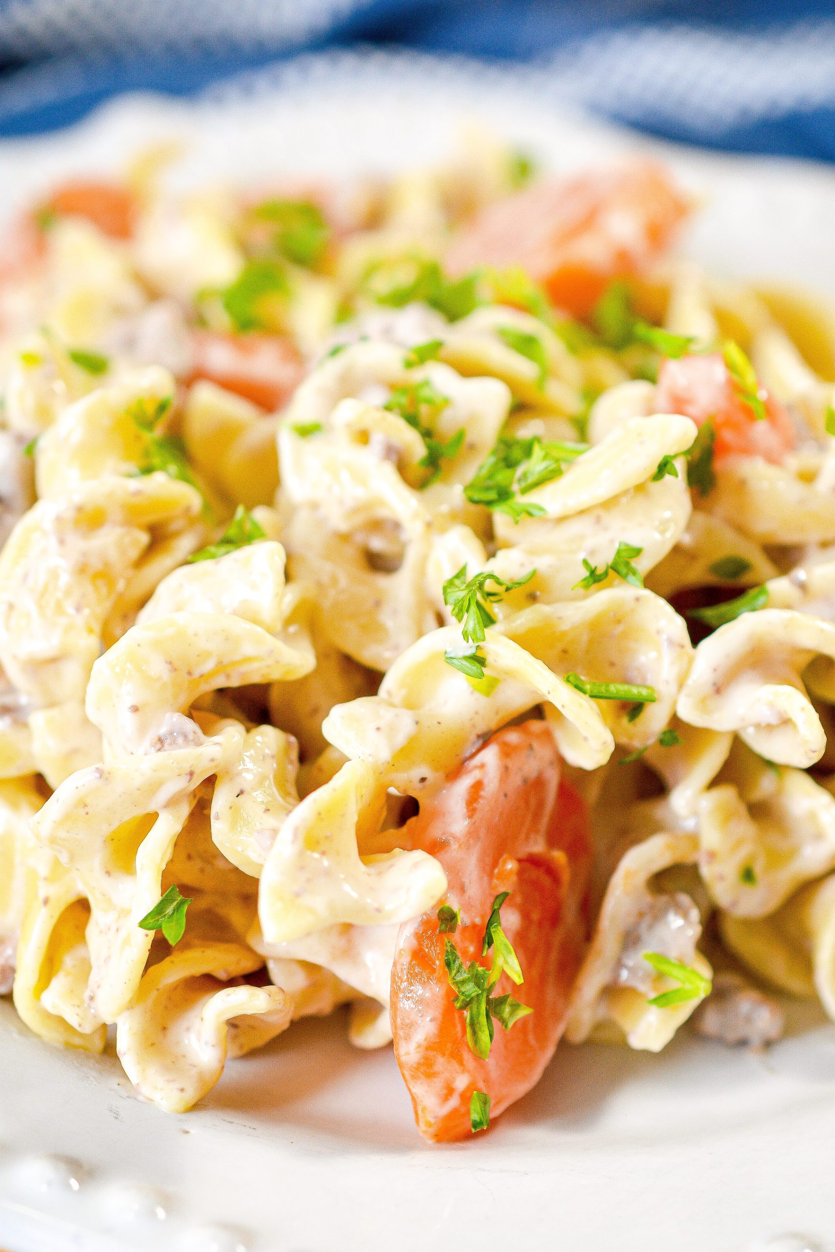 beef stroganoff casserole, ground beef stroganoff casserole, beef stroganoff casserole with cream of mushroom soup