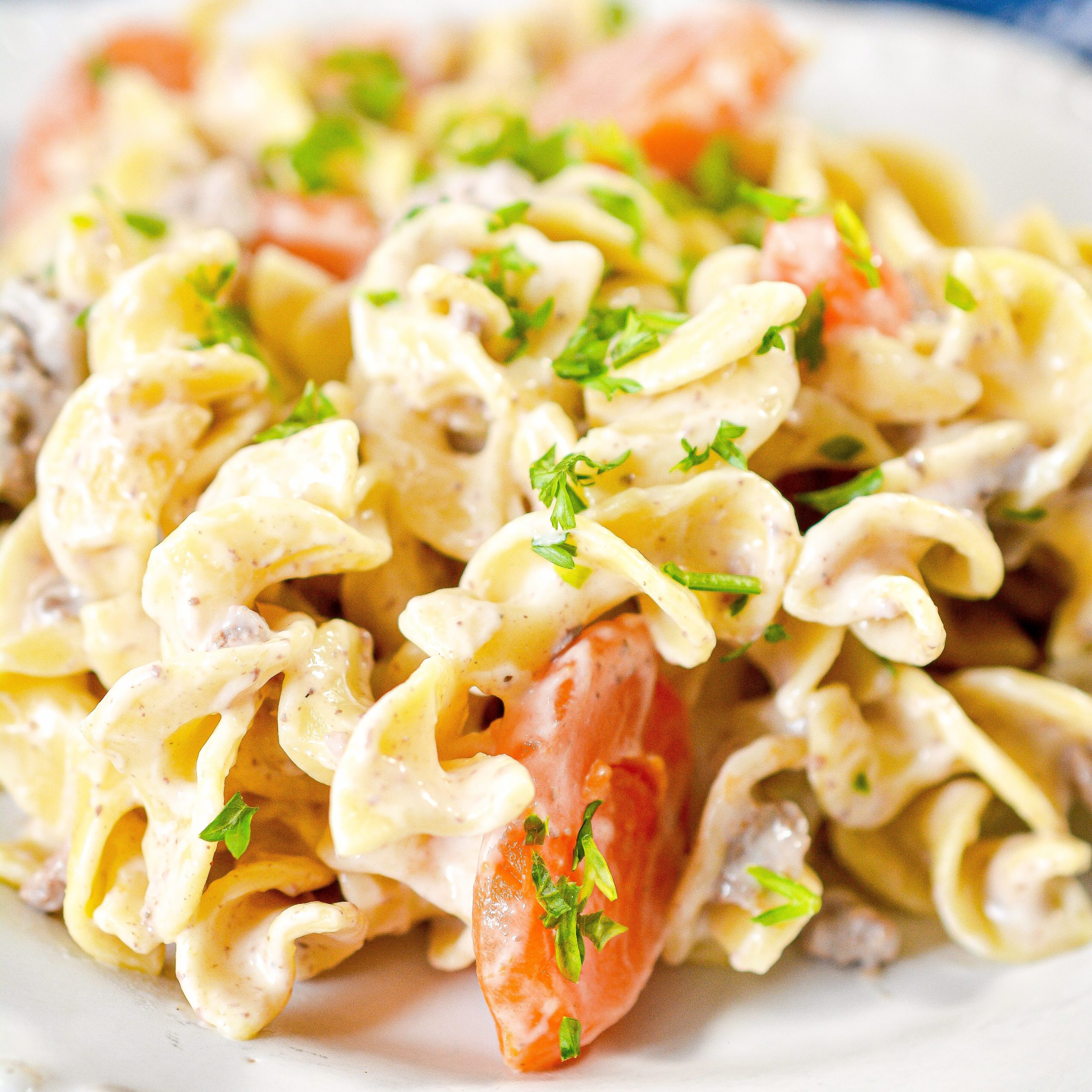 beef stroganoff casserole, ground beef stroganoff casserole, beef stroganoff casserole with cream of mushroom soup