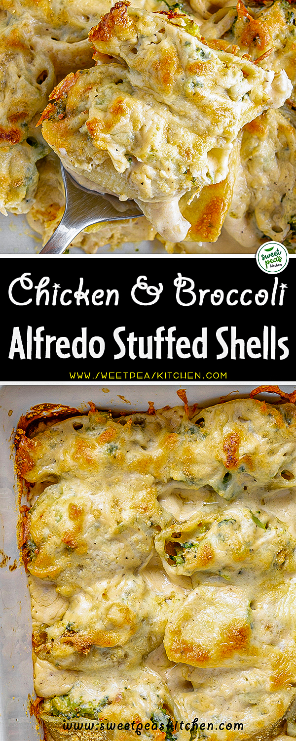 Chicken Broccoli Alfredo Stuffed Shells on pinterest