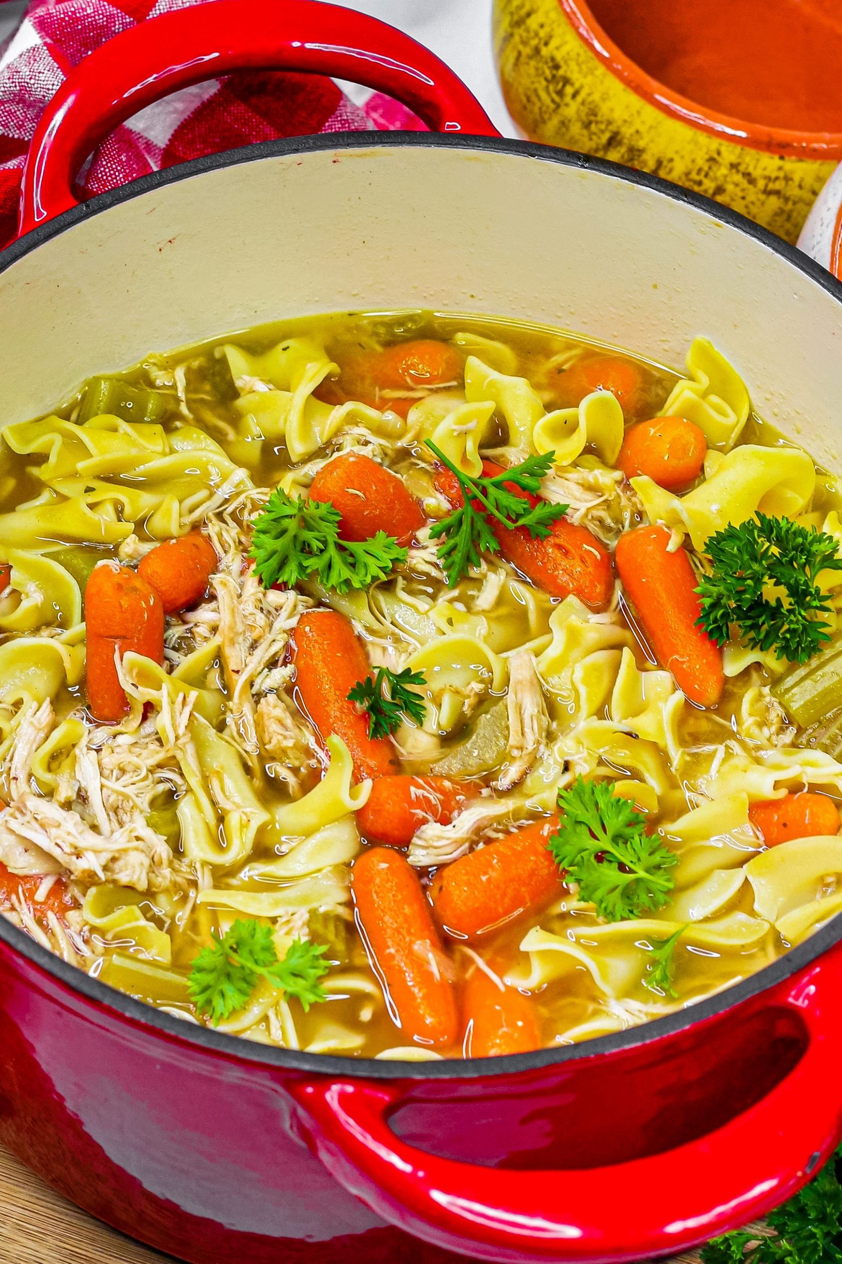 chicken noodle soup recipe, homestyle chicken noodle soup, homestyle chicken noodle soup recipe