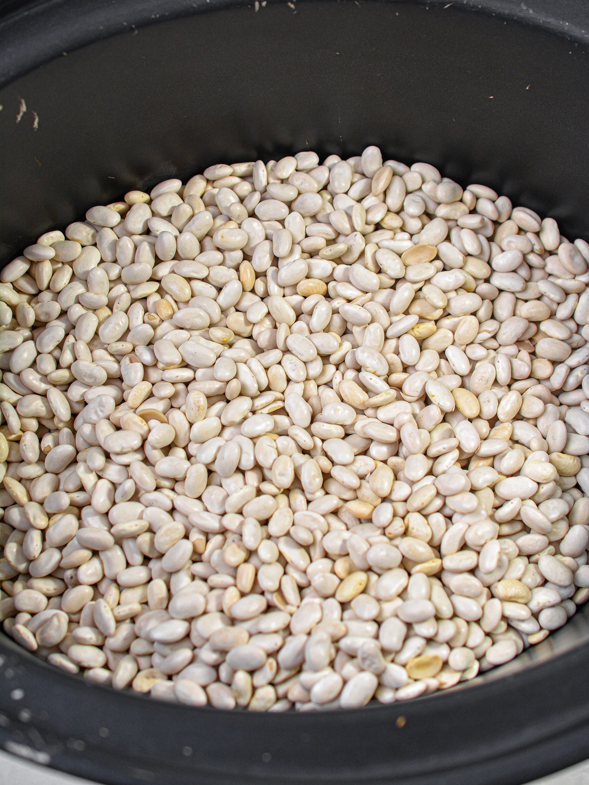 Place 2 lb. dried great northern beans into the crockpot.