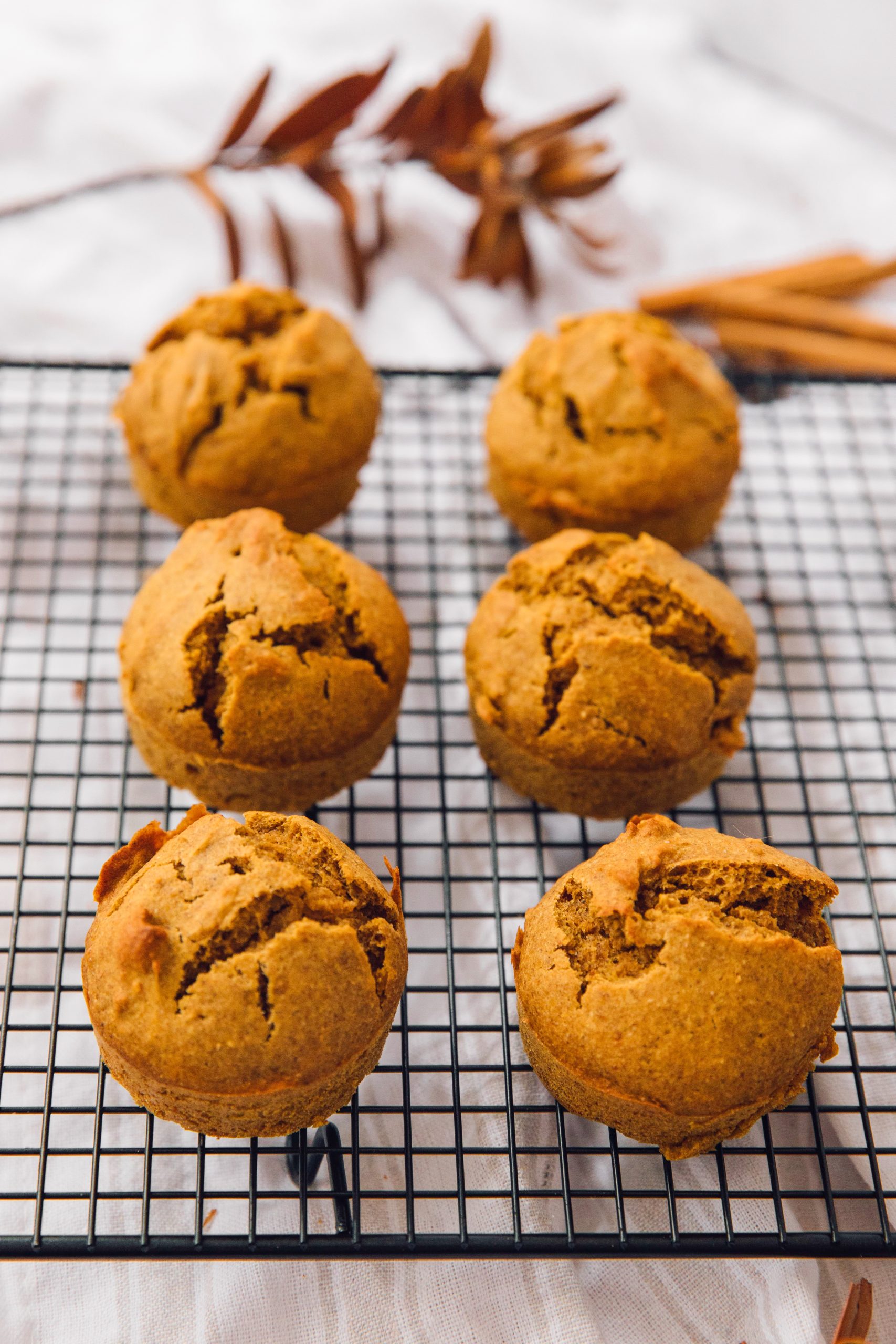 2 ingredient pumpkin muffins, pumpkin muffins recipe