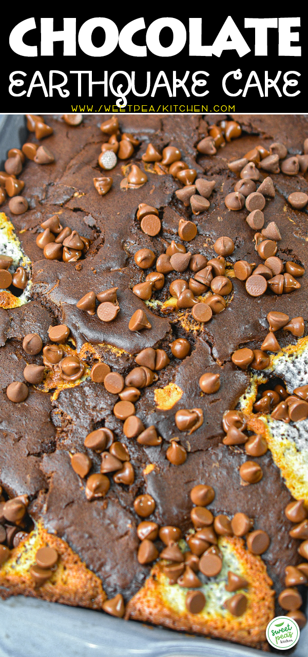 Chocolate Earthquake Cake Recipe on Pinterest