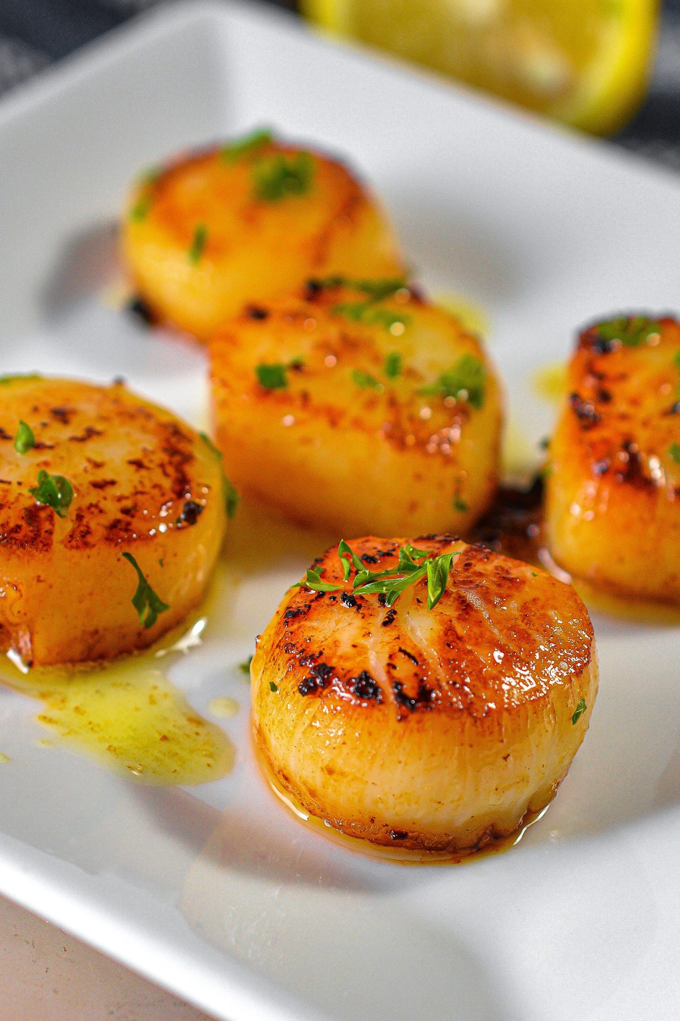 Seared Scallops - Sweet Pea's Kitchen