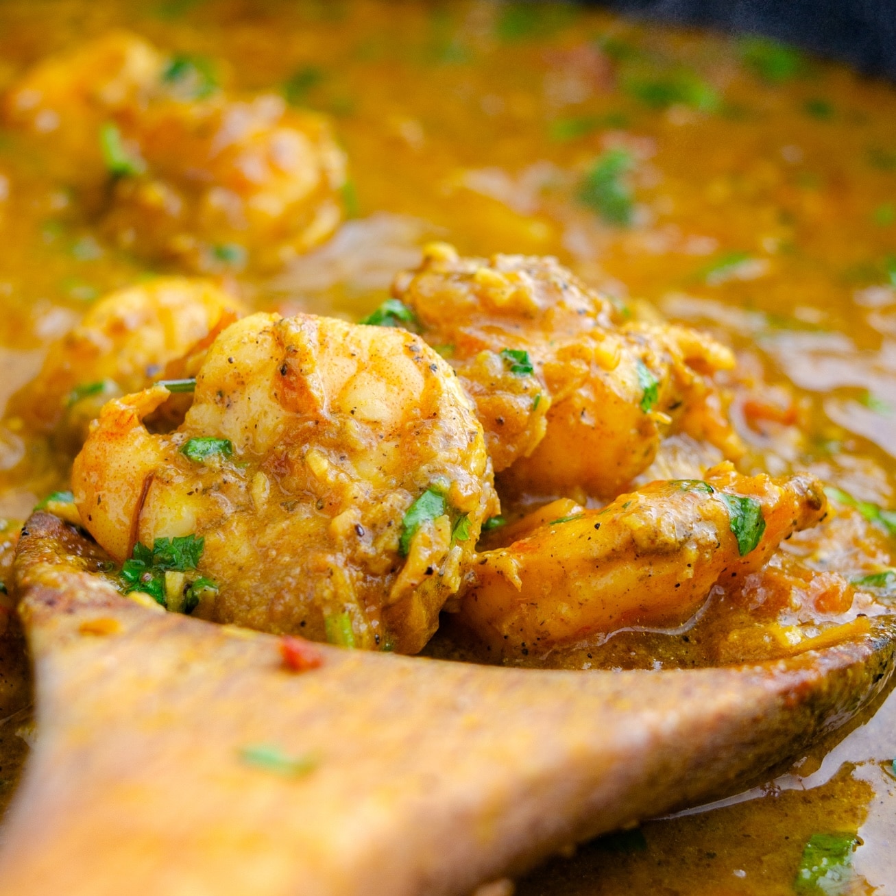 Shrimp Curry
